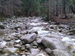 WP_20140109_002.jpg