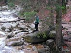 WP_20140109_006.jpg