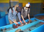 20-DSC04586.JPG