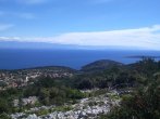DSC_0311.JPG