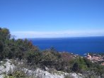 DSC_0313.JPG