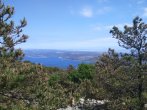 DSC_0350.JPG