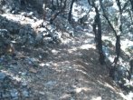 DSC_0385.JPG