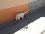 DSC_0410.JPG
