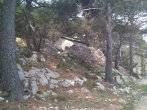 DSC_0425.JPG