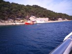 DSC_0446.JPG