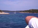 DSC_0448.JPG
