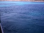 DSC_0464.JPG