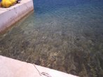 DSC_0472.JPG