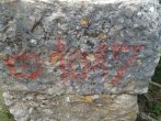 DSC_0494.JPG