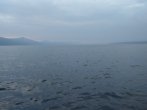DSC_0507.JPG